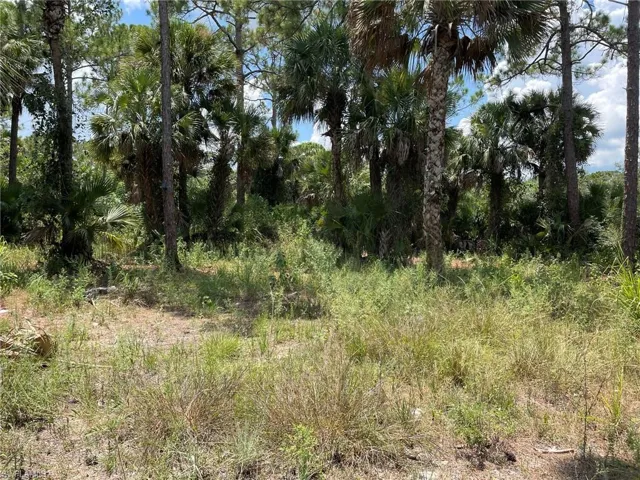 408  Valleybrook  DR, Labelle, FL 33935