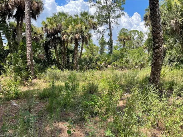 408  Valleybrook  DR, Labelle, FL 33935