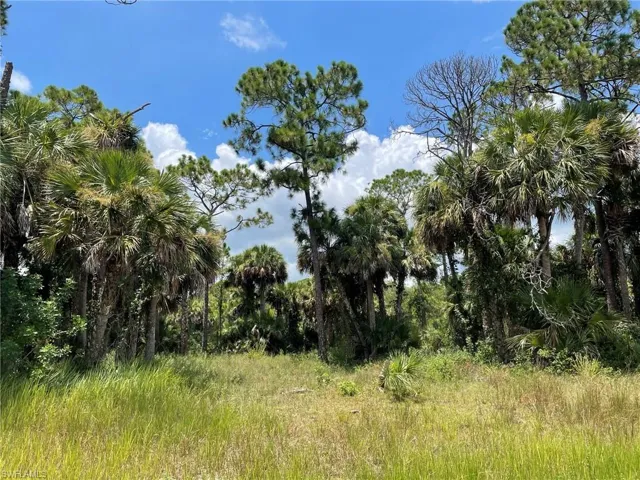 408  Valleybrook  DR, Labelle, FL 33935