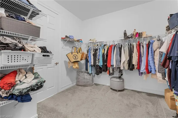 Spacious closet with carpet