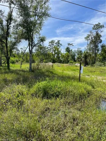 View of partial cleared lot.