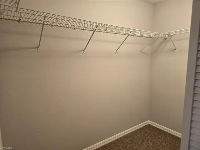 Walk in closet with carpet