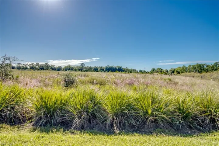View of undeveloped land featuring rural landscape