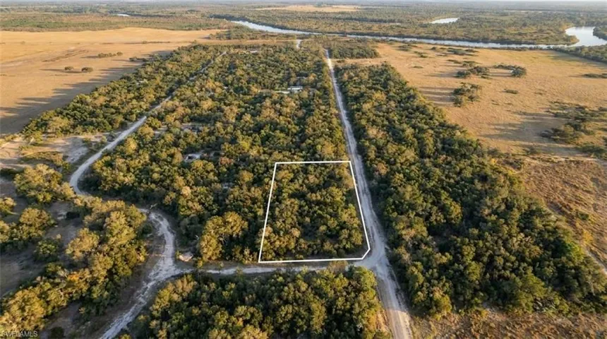 Expansive land parcel featuring dense tree coverage
