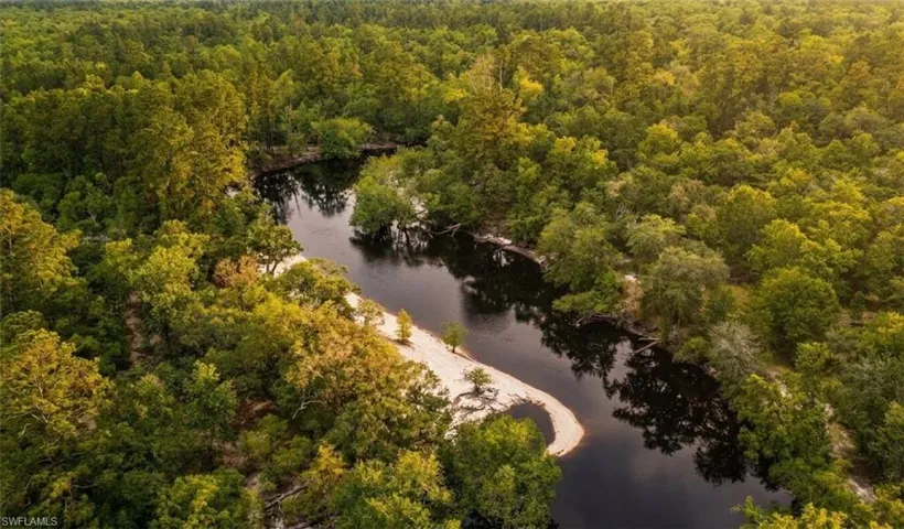 Meandering river surrounded by dense, mature forest