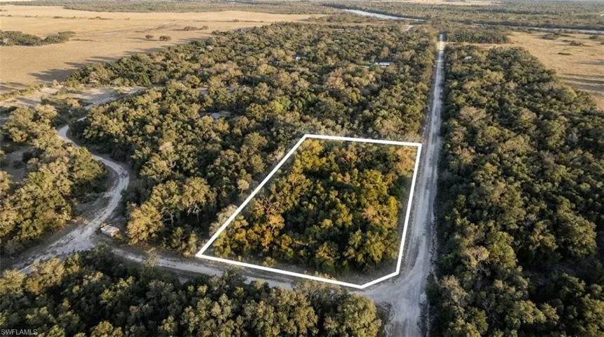 Wooded acreage with established boundary lines, featuring direct access to a dirt road