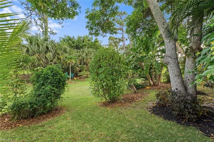 Expansive grassy area surrounded by mature trees, lush greenery, and tropical foliage