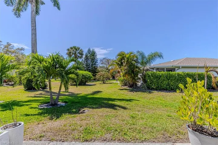 Garden view