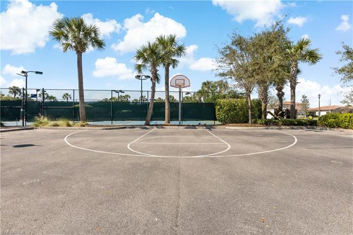 Basketball court