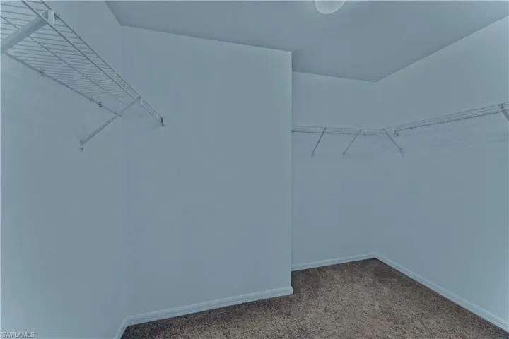 Walk in closet with carpet