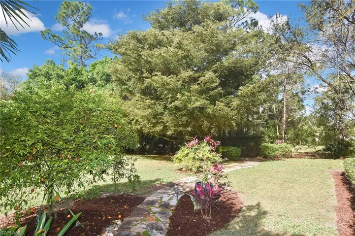 View of green lawn