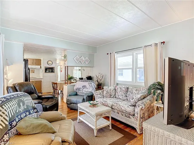 Living room featuring wood-type flooring