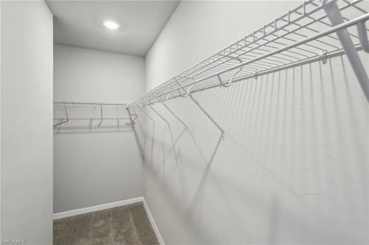 Spacious closet featuring carpet floors