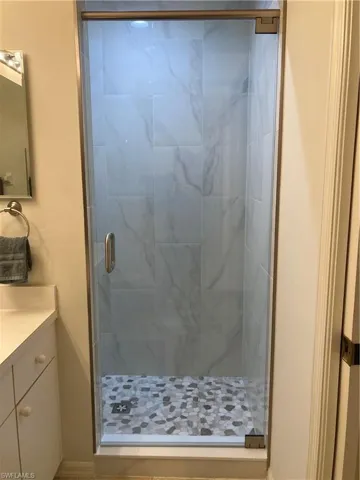 New master shower swinging door