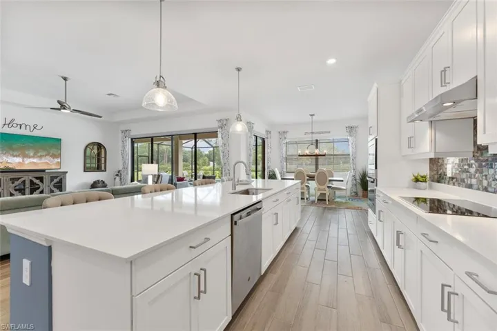 Kitchen with stainless steel dishwasher, a sink, light wood-style flooring, black electric cooktop, and under cabinet range hood