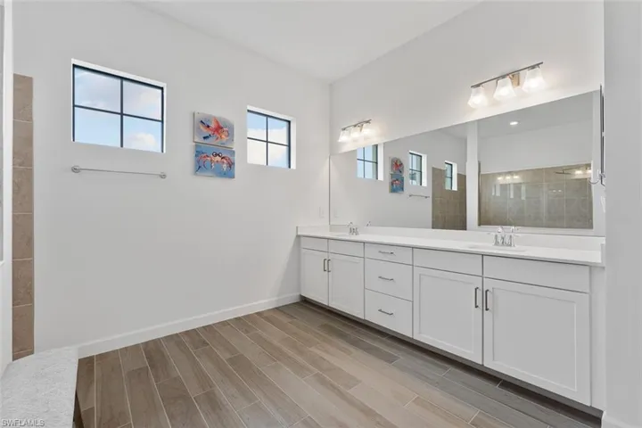 Bathroom with wood finished floors, a sink, a walk in shower, and double vanity