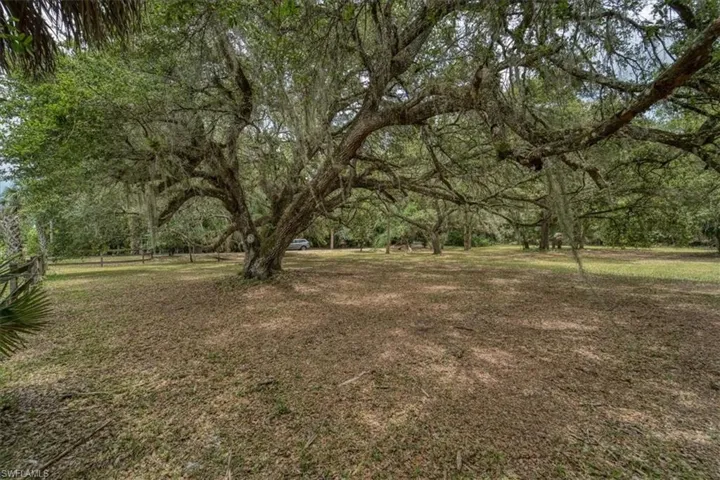 1205 Cr-830, Felda, Florida 33930