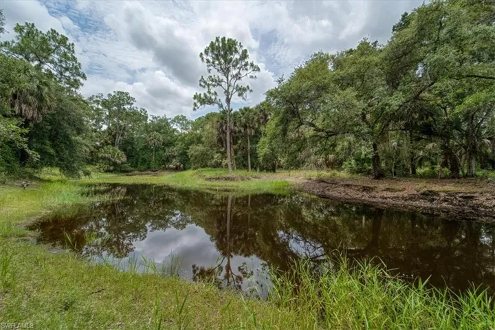 Pond