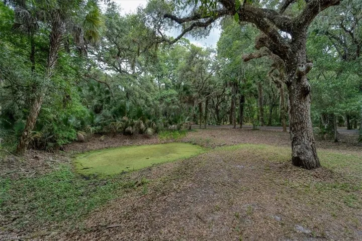 1205 Cr-830, Felda, Florida 33930