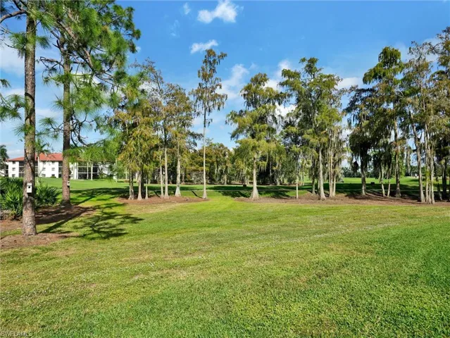 View of green lawn