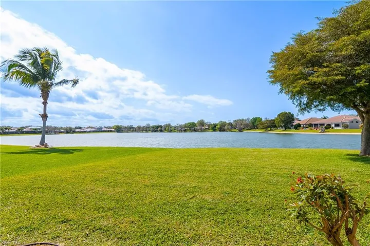 view from back yard