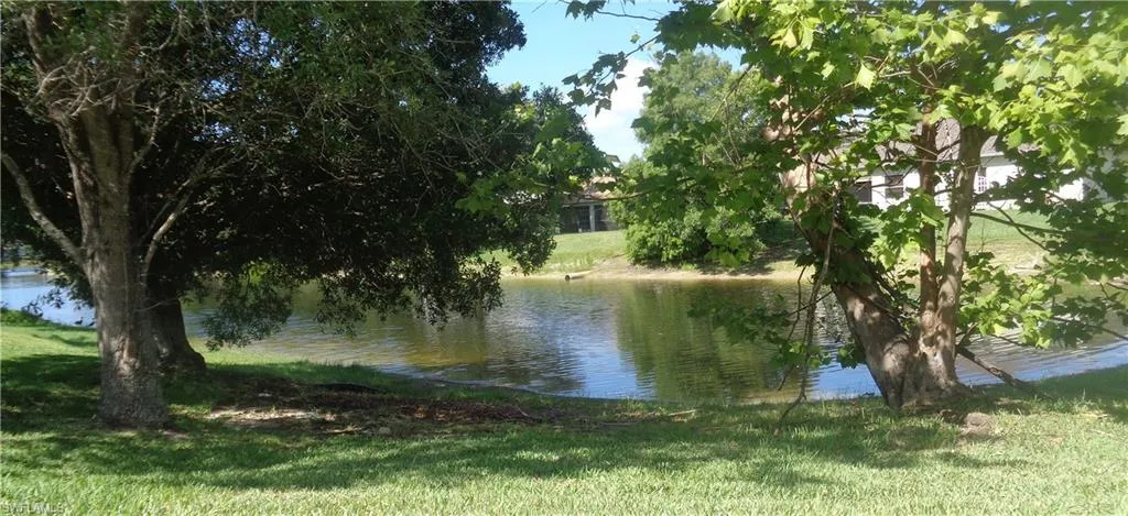 View of the trees and lake from the back yard