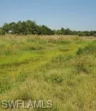 Harns Marsh