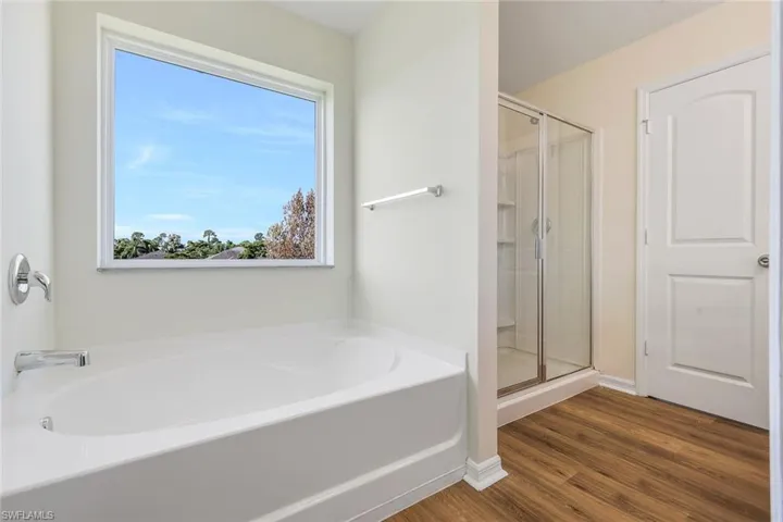 Bathroom with independent shower and bath and wood-type flooring