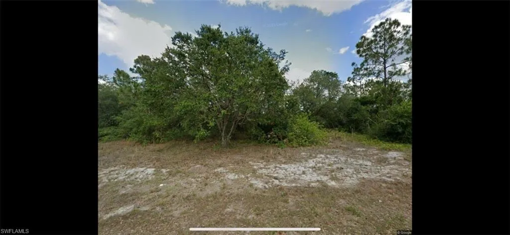 View of local wilderness