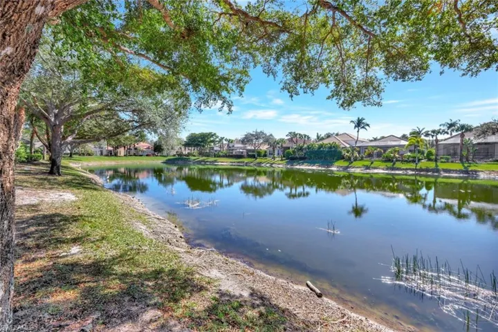 Backyard Lake Views