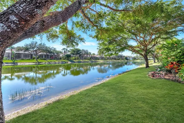 Backyard Lake Views
