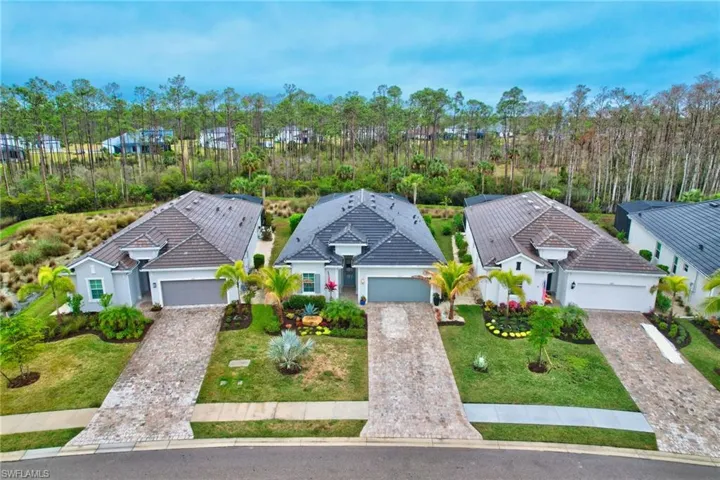 Aerial view of Immediate Neighborhood