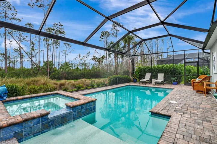 Custom Pool with Spa and enclosure