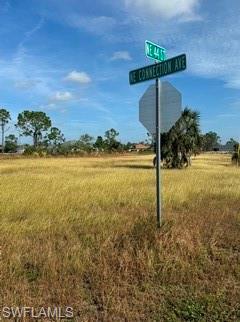 Corner of lot view