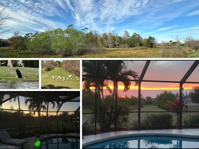Wildlife and sunsets in your backyard!