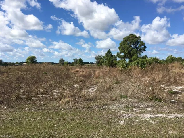 View of local wilderness with a rural view