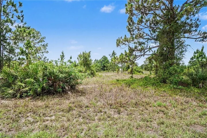 1046 Chandlee St, Lehigh Acres, Florida 33974