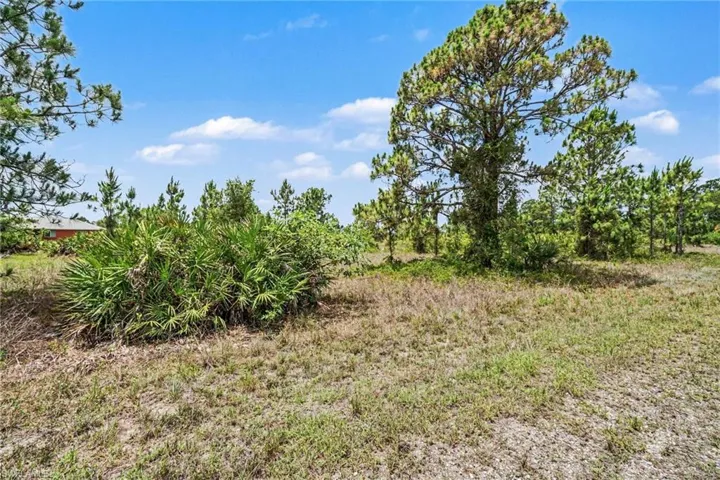 1046 Chandlee St, Lehigh Acres, Florida 33974