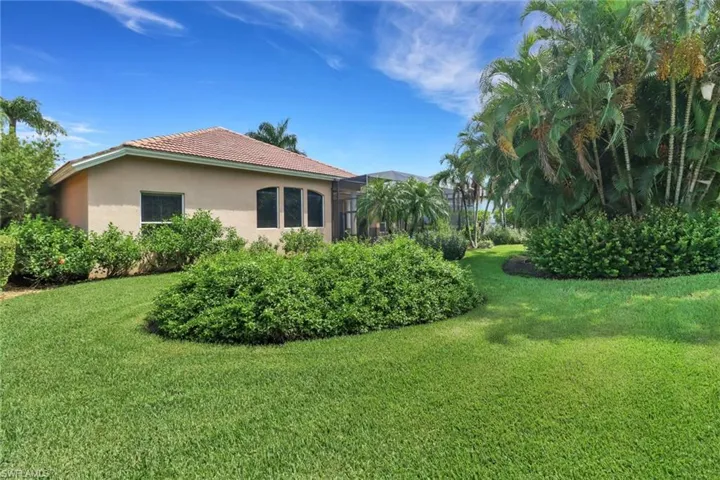 View of backyard