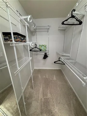 Walk-in closet featuring wire shelving, multiple hanging rods, and neutral-toned carpeting
