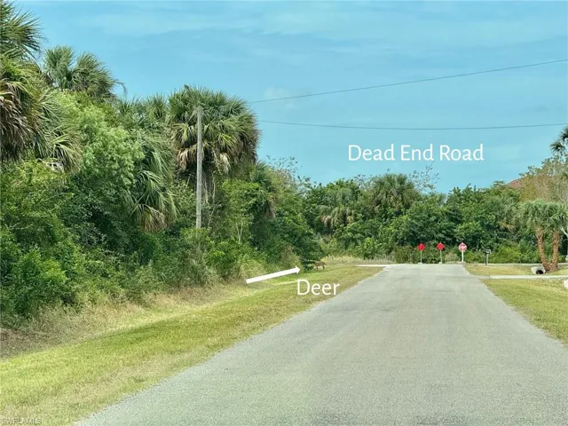 39th Ave Nw, Naples, Florida 34120