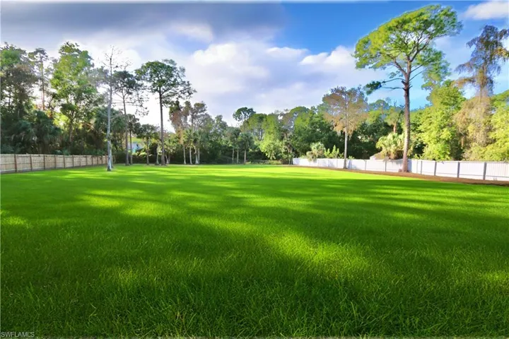 View of yard with view of scattered trees
