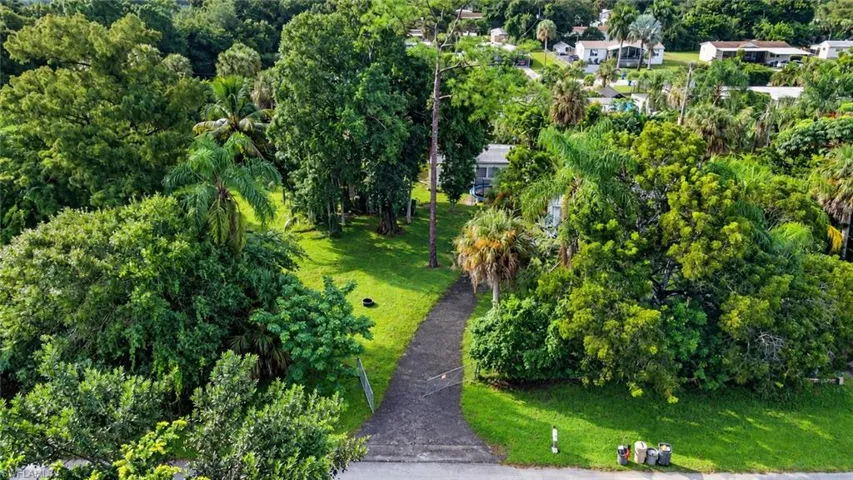 Expansive lot featuring mature trees, established palms, and a paved driveway