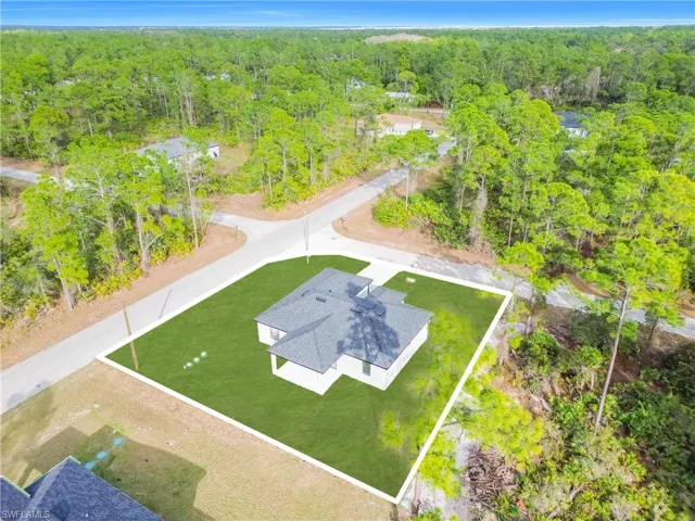 Drone / aerial view of a forest