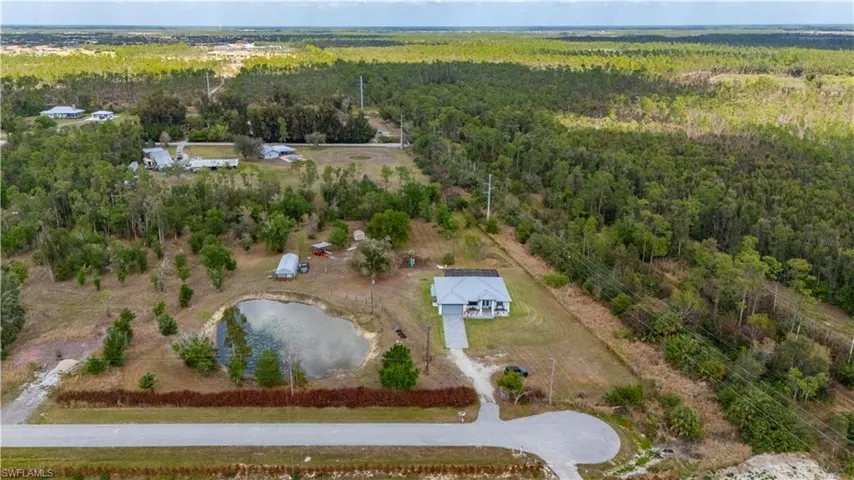 Aerial view of a forest and a nearby body of water
