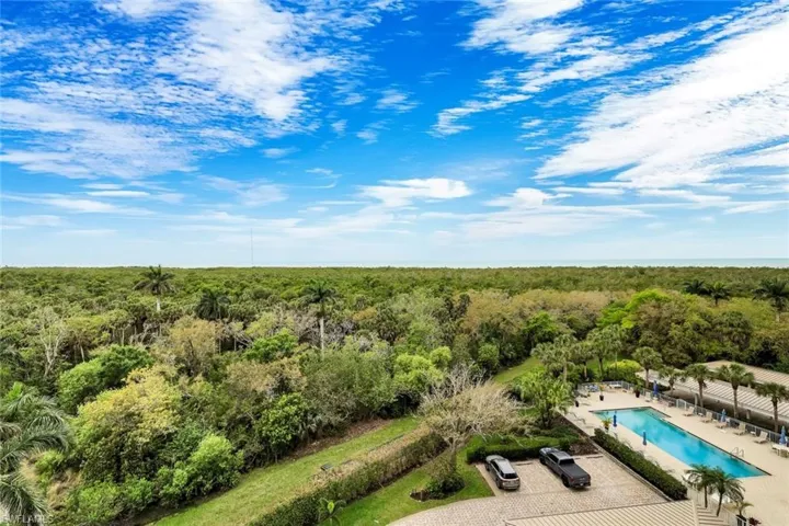 Drone / aerial view of a pool area and a heavily wooded area