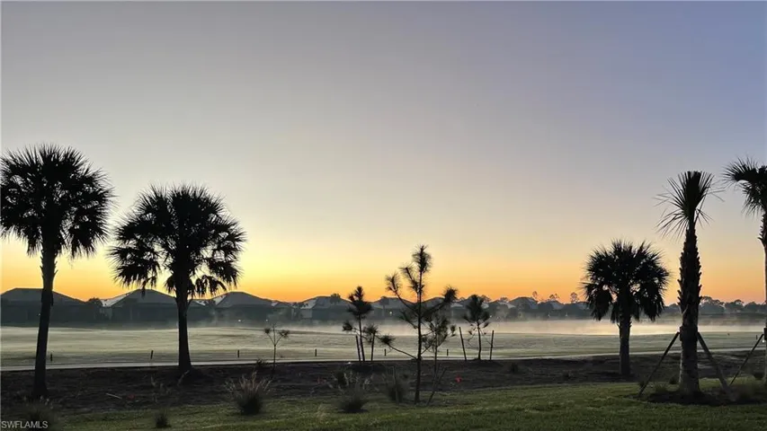Morning Sun Rising