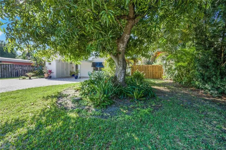 Front Yard