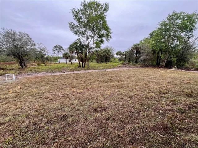 View of half acre backyard.