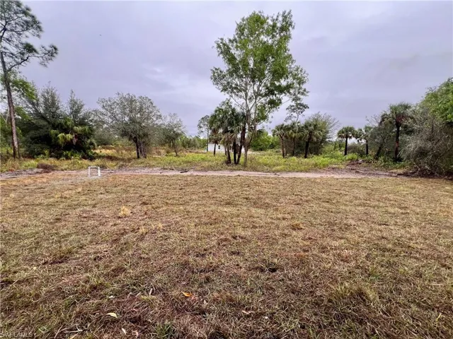 View of half acre backyard.